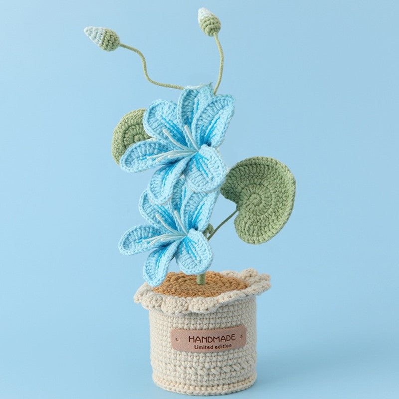 Potted Poinsettia Flower