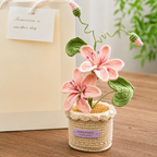Potted Poinsettia Flower