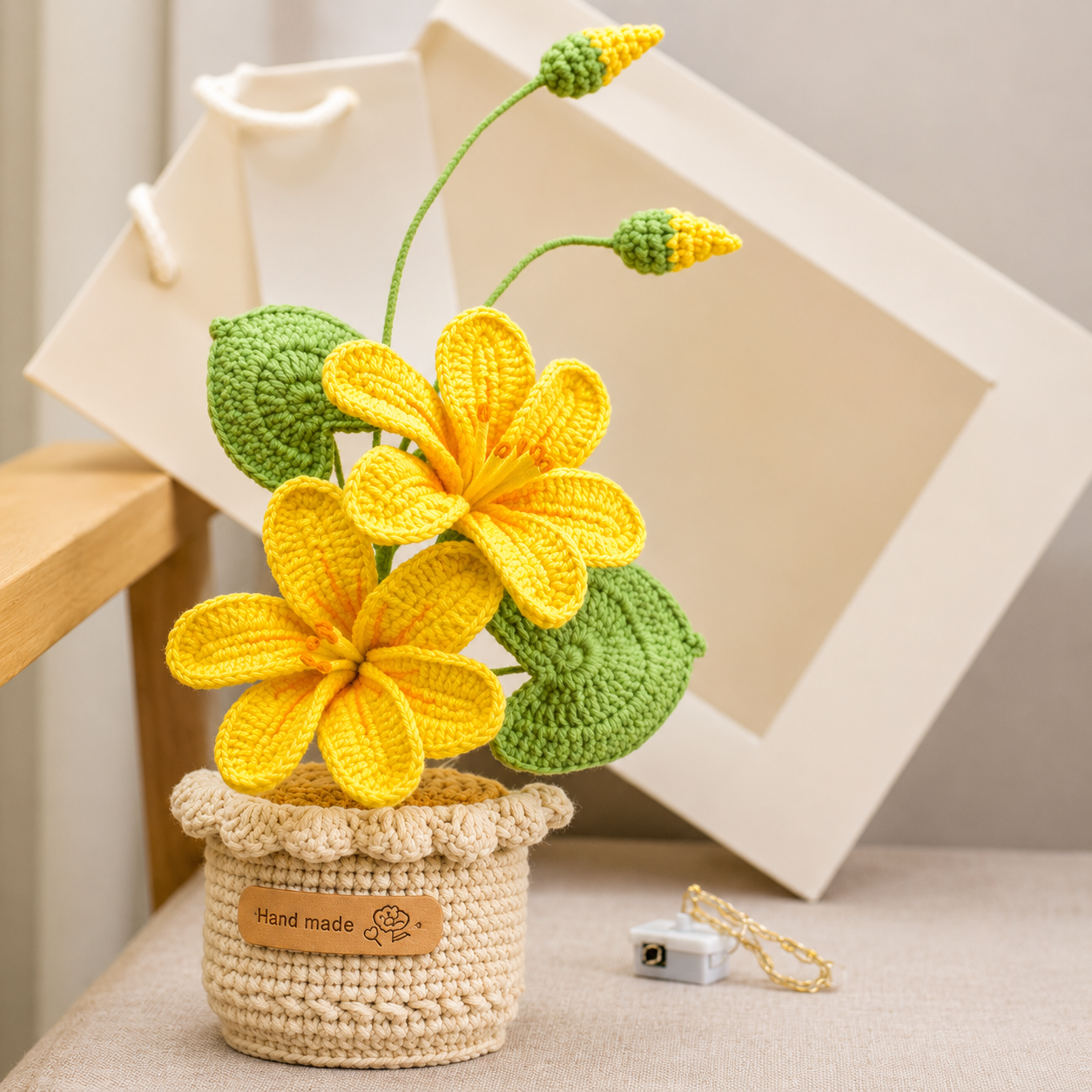 Potted Poinsettia Flower