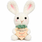 Hand Crochet Flower & Bunny Desk Decorations