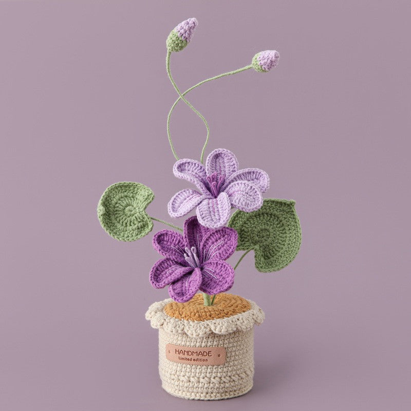 Potted Poinsettia Flower