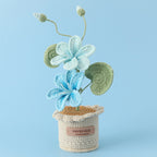 Potted Poinsettia Flower