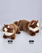 Realistic brown and white Ragdoll-style cat plush toy, lying down, 50cm and 60cm sizes side by side