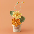 Potted Poinsettia Flower