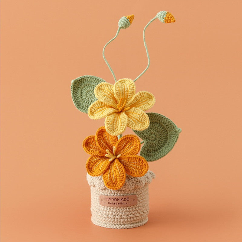 Potted Poinsettia Flower