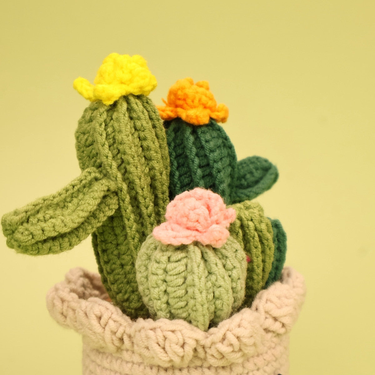 Crochet Cactus Plant | Cute Desk Decoration