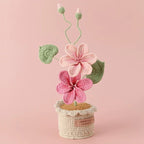 Potted Poinsettia Flower